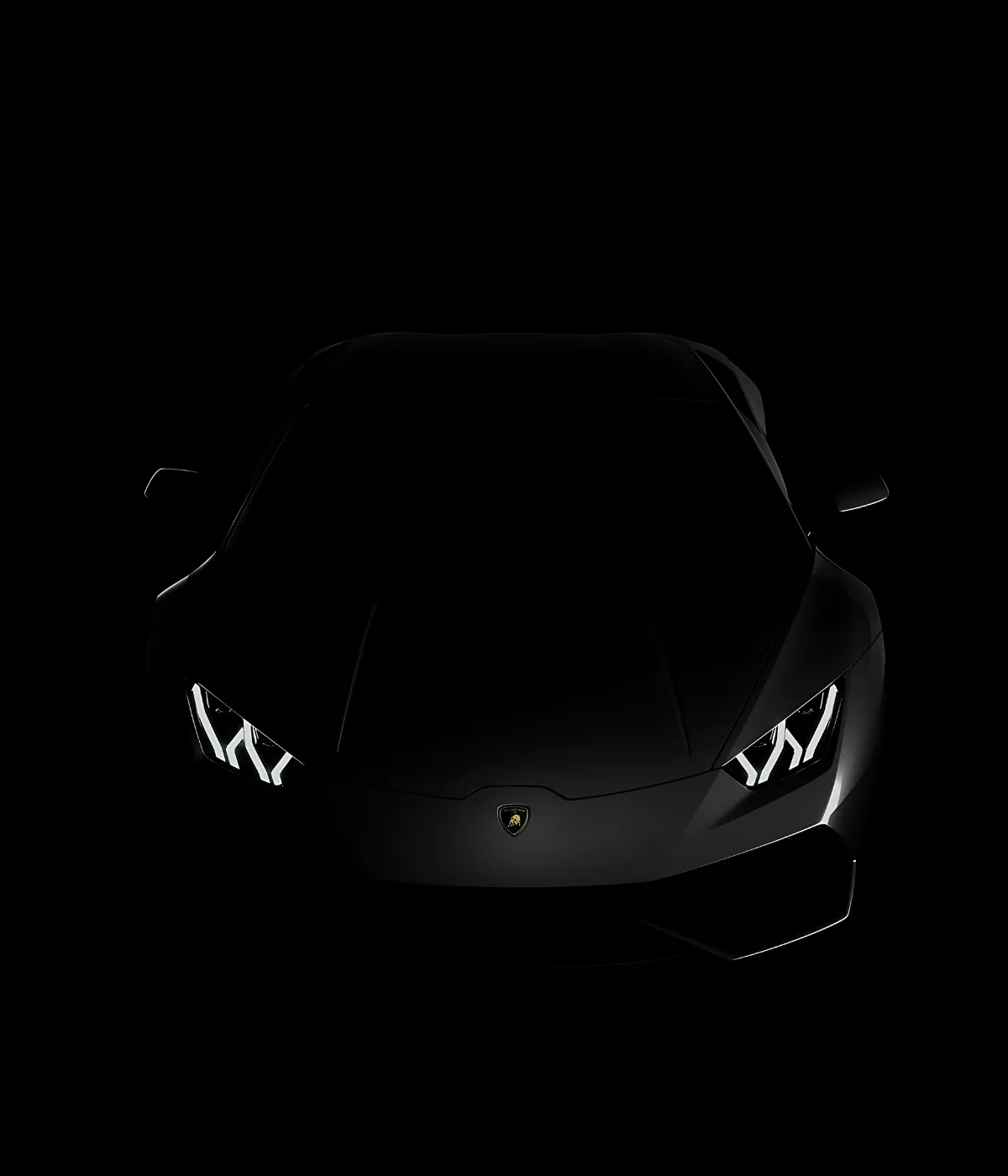 Small image of dark bulls project